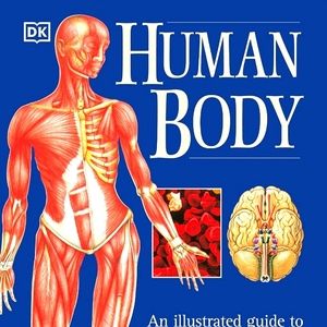 Human Body: An Illustrated Guide to Every Part of the Human Body & How It Works